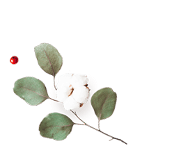 http://thisday-photography.eu/wp-content/uploads/2020/12/floating_image_flower_01.png